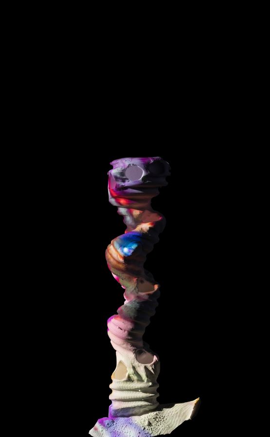 Desired Forms EYES No. 36 by Yamamoto Wataru contemporary artwork Photography