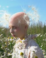 I Guess Summers Really Over still by Ellen Sheidlin contemporary artwork moving image