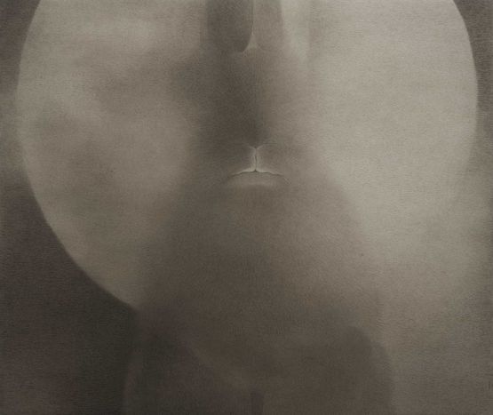 Full Moon 0824 by Shao Fan contemporary artwork Works on Paper