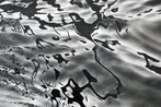 Serse contemporary artist