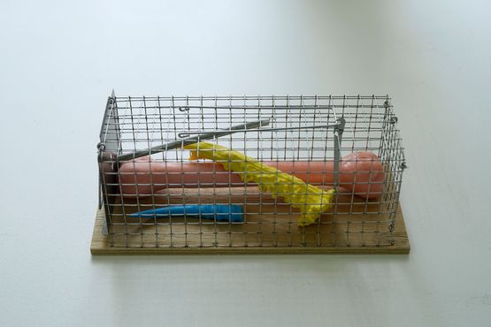Bone Trap by Marten Schech contemporary artwork Sculpture