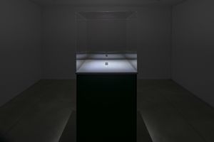Alfredo Jaar
