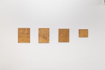 Vera Palme contemporary artist