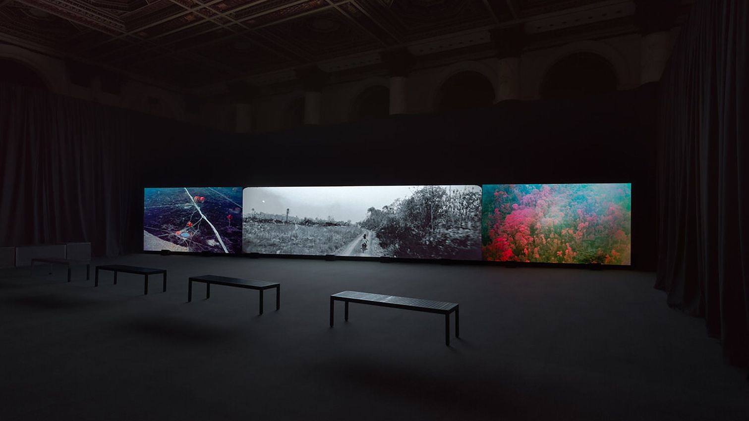 Richard Mosse