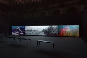 Richard Mosse