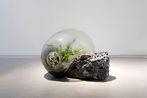 Jamie North contemporary artist