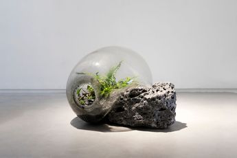 Jamie North contemporary artist