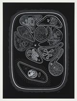 Zoofolium 01 by Golan Levin contemporary artwork drawing nft