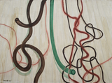The Plastic Tubes with The Wires by Zhang Enli contemporary artwork painting