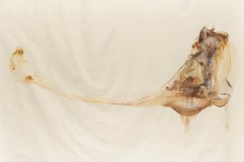 Contemporary art exhibition Josi Grains Of Water Drops Of Earth at Mendes Wood DM New York United States