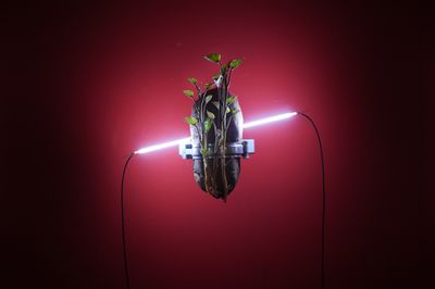 CHRONIQUES the Biennale of Digital Information Invites Taiwan to France