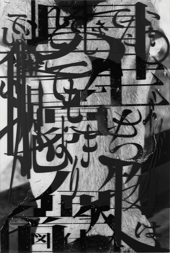 The creature was many times larger than me yet it was timid and had very gentle eyes. by Kohei Kyomori contemporary artwork Works on Paper