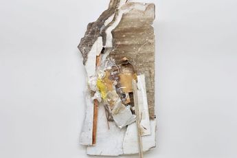 Peter Buggenhout contemporary artist