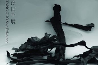 Contemporary art exhibition Tang Guo The Rhyme of Ruins at ShanghART M50 Shanghai China