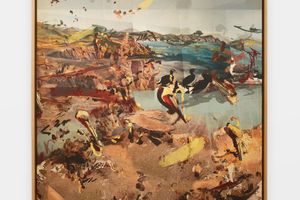 Petra Cortright