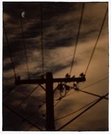 Untitled 69 by Bill Henson contemporary artwork photography