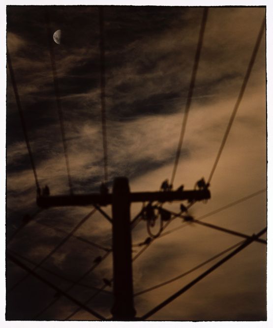 Untitled 69 by Bill Henson contemporary artwork Photography