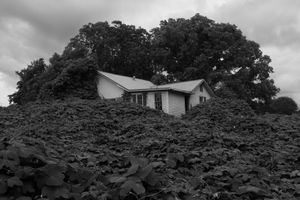 Alec Soth