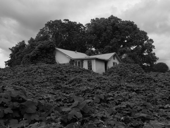Near Gainesville Georgia by Alec Soth contemporary artwork Photography