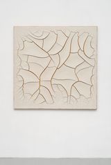 Monocromo Cru 2 by Adriana Varejao contemporary artwork painting