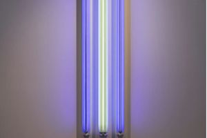 Robert Irwin
