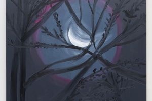 Ann Craven