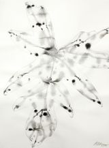 Reflections Nature Series 9 by Barbara Edelstein contemporary artwork drawing painting works on paper