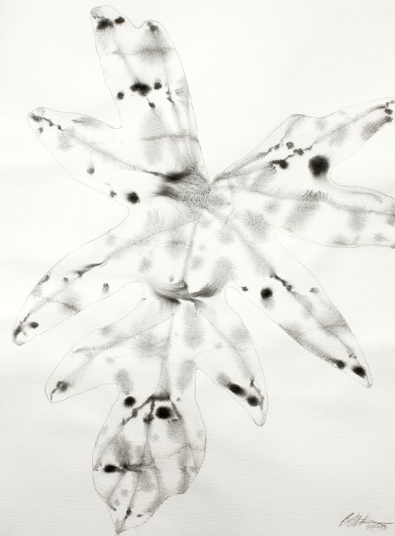 Reflections Nature Series 9 by Barbara Edelstein contemporary artwork Painting