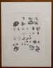 Stone telling Tanah dan air by Boedi Widjaja contemporary artwork Works on Paper