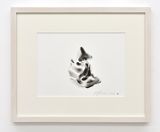 Avvolgere la terra by Giuseppe Penone contemporary artwork painting works on paper