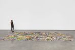 Polly Apfelbaum contemporary artist