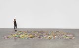 Bring Back the Funk by Polly Apfelbaum contemporary artwork installation