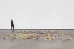 Polly Apfelbaum