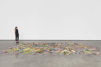 Polly Apfelbaum contemporary artist