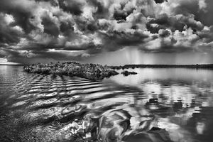 Sebastiao Salgado