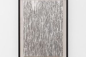 Han Jin