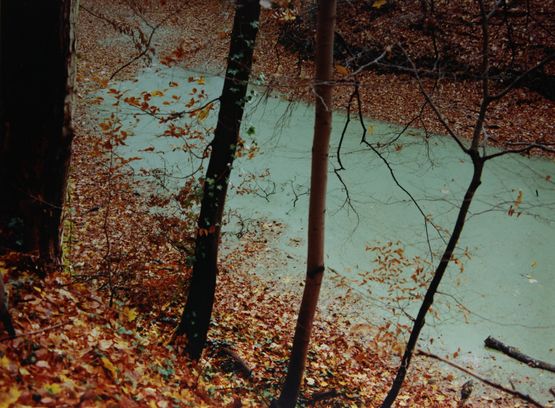 Green river by Samuel Laurence Cunnane contemporary artwork Photography