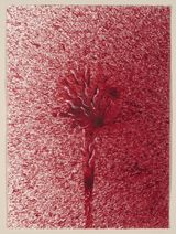 Survived by Imran Qureshi contemporary artwork painting