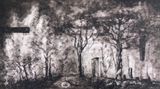 Carbon Emission 7 Currowan by Caroline Rothwell contemporary artwork moving image