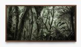 A picturesque voyage through Brazil  80 by Cassio Vasconcellos contemporary artwork print