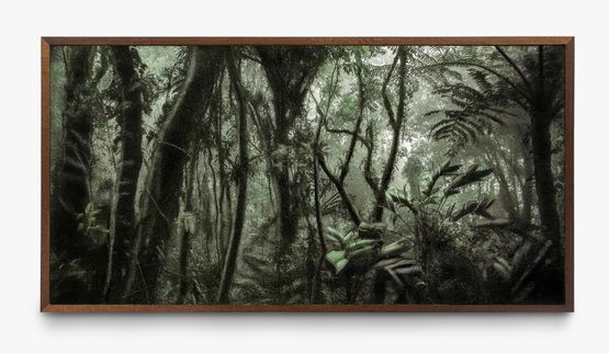 A picturesque voyage through Brazil  80 by Cassio Vasconcellos contemporary artwork Print