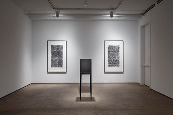 Contemporary art exhibition Kris Martin DO GEESE SEE GOD at Sean Kelly New York United States