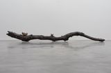 Branch by Dorothy Cross contemporary artwork sculpture