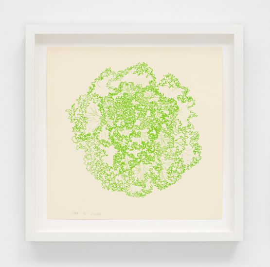 Cabbage P.021 by Ruth Asawa contemporary artwork Print