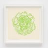 Cabbage P.021 by Ruth Asawa contemporary artwork Print