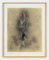 Untitled by Giuseppe Penone contemporary artwork drawing works on paper