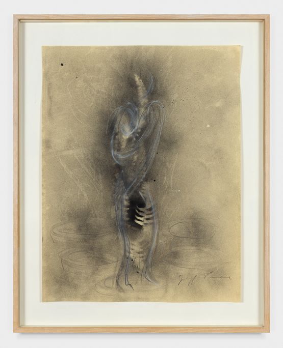 Untitled by Giuseppe Penone contemporary artwork Works on Paper