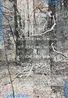 Critical Forests 3 by Imants Tillers contemporary artwork Painting