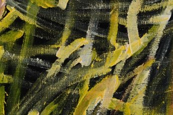 Emily Kam Kngwarray contemporary artist