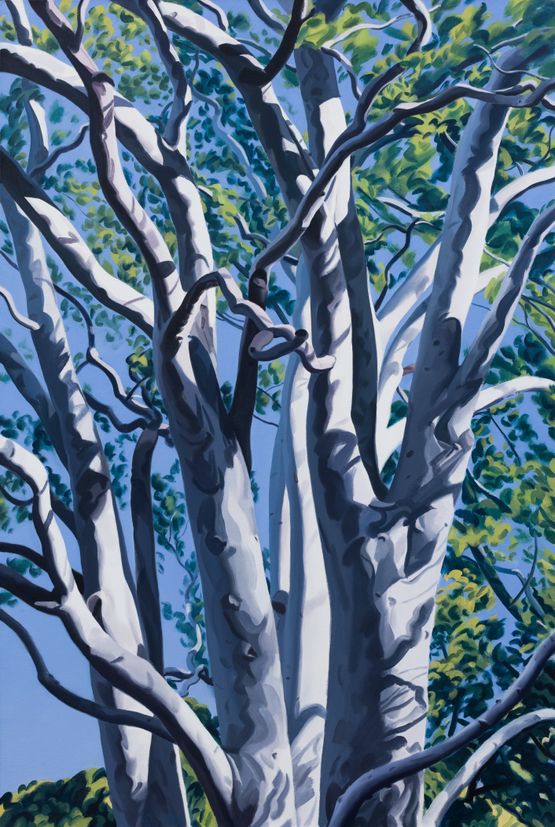 Afternoon Shades by Long Quan contemporary artwork Painting